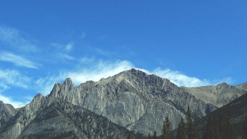 i米体育打造触手可及的赛场体验